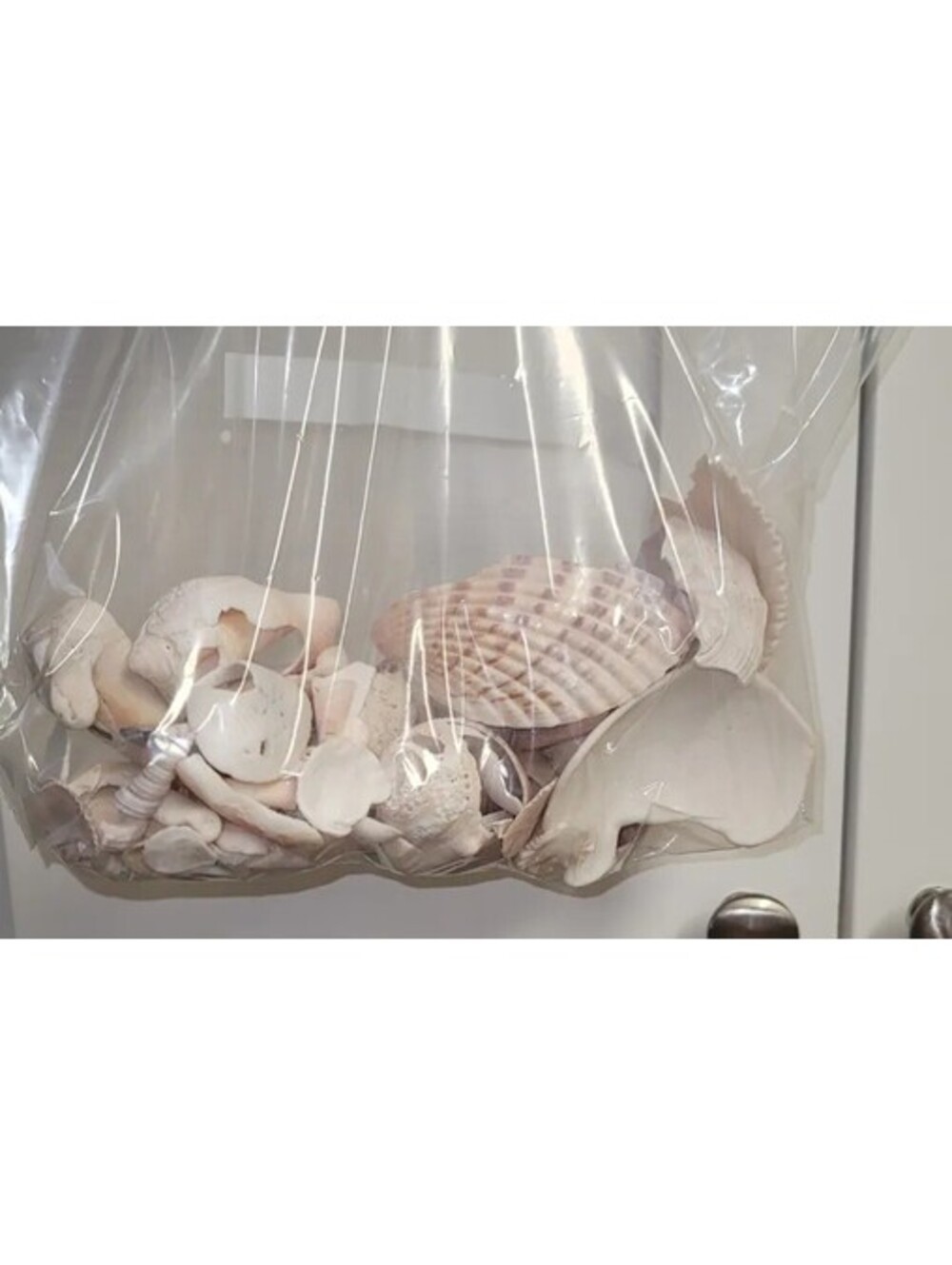 NATURAL SEA SHELLS CRAFT LOT MIXED CRUSHED BROKEN SHELL FRAGMENTS MOSAIC ART